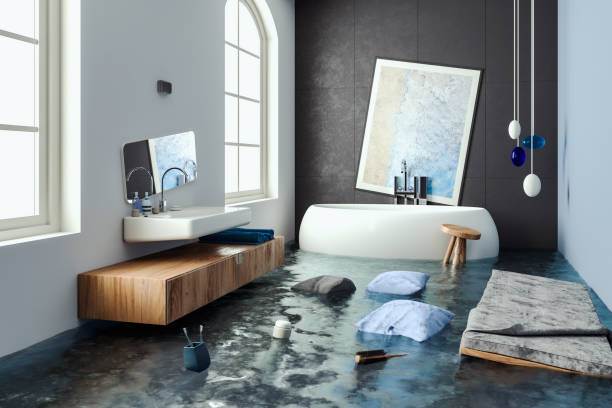  St Charles, MN Water damage restoration Pros