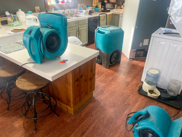 Best Basement water damage restoration  in St Charles, MN
