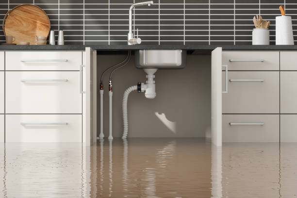 Best Flooded house restoration  in St Charles, MN