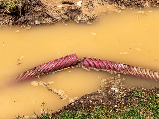 Best Water damage restoration near me  in St Charles, MN