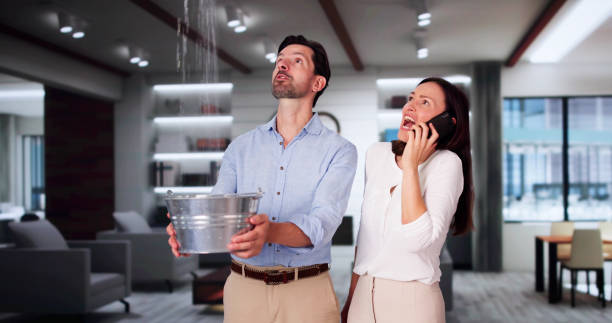 Best Flood damage cleanup  in St Charles, MN