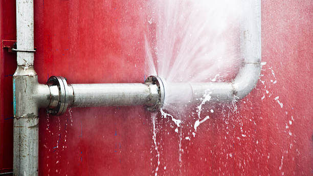Best Mold removal after water damage  in St Charles, MN